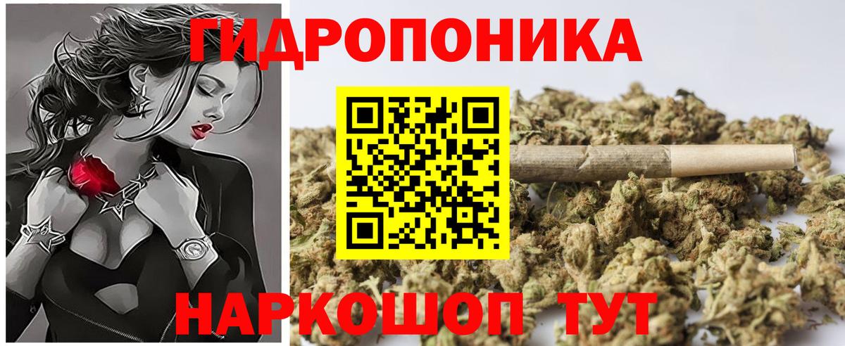 Бошки Шишки MAZAR Черногорск